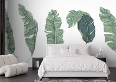 Realistic tropical botanical foliage plants. Set of tropical leaves: green palm banana.  Wall mural